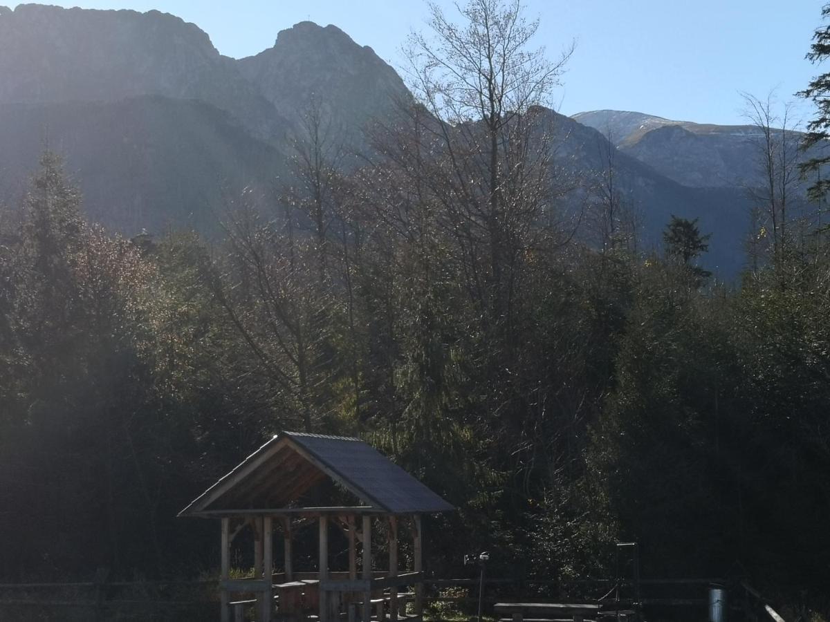 Willa Nika, Apartamenty Zakopane Esterno foto